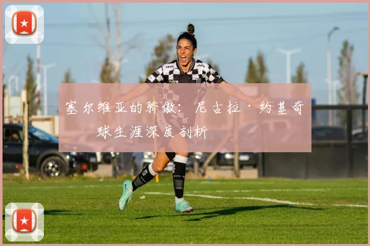 塞尔维亚的骄傲：尼古拉·约基奇篮球生涯深度剖析