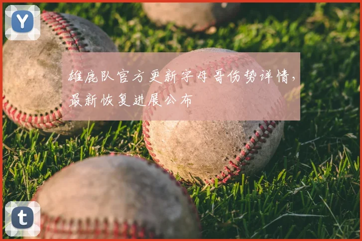 雄鹿队官方更新字母哥伤势详情，最新恢复进展公布